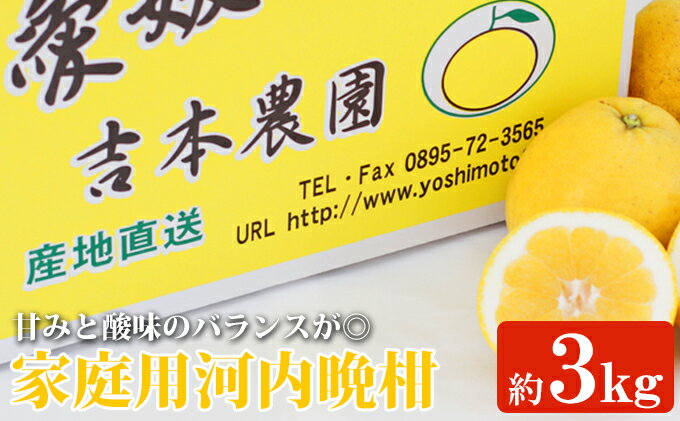 【ふるさと納税】吉本農園の愛南ゴールド（河内晩柑）家庭用約3kg　※2024年4月上旬～8月上旬頃に順次...