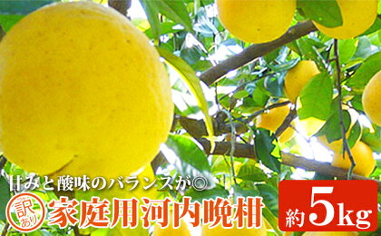 吉本農園の愛南ゴールド（河内晩柑）家庭用約5kg　※2024年4月上旬～8月上旬頃に順次発送予定