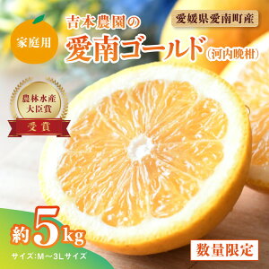 【ふるさと納税】【先行予約】吉本農園の愛南ゴールド(河内晩柑)家庭用約5kg <柑橘 希少 果物 国産 フルーツ みかん 蜜柑 家庭用 和製 グレープフルーツ ブランド 果実 ビタミン 愛媛県 鬼北町 > ※2025年4月上旬~8月上旬頃に順次発送予定