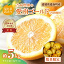 【ふるさと納税】【先行予約】見た目だけが訳あり!吉本農園の木取り完熟愛南ゴールド(河内晩柑)約5kg<柑橘 希少 果物 国産 フルーツ みかん 蜜柑 訳あり 家...