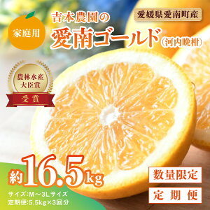 【ふるさと納税】【先行予約】河内晩柑3回お届け定期便/家庭用愛南ゴールド 5.5kg×3回<柑橘 希少 果物 国産 フルーツ みかん 蜜柑 定期便 家庭用 和製 グレープフルーツ ブランド 果実 ビタミン 愛媛県 鬼北町 > ※2025年4月上旬~8月上旬頃に順次発送予定