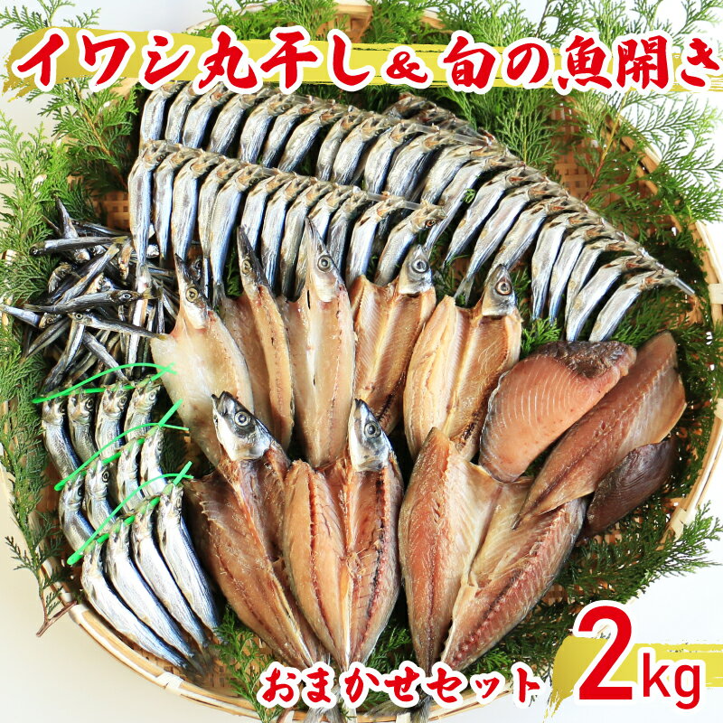 29位! 口コミ数「135件」評価「4.53」 訳あり 魚の丸干し＆開き おまかせセット2kg 魚 海鮮 干物 ひもの 丸干し 切り身 おつまみ おかず 人気 珍味 グルメ 規格外 国産･･･ 