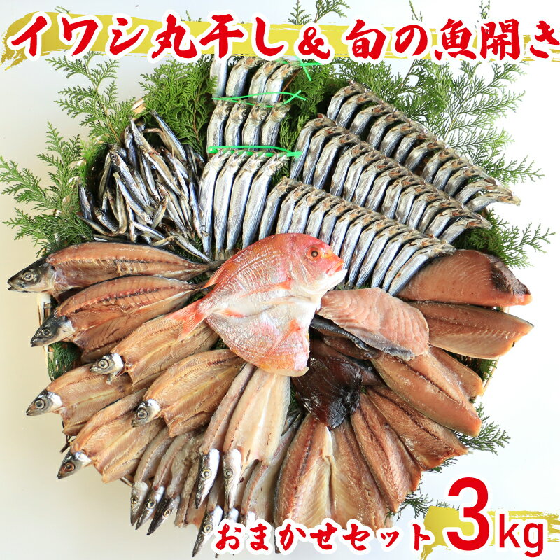 13位! 口コミ数「8件」評価「4.13」 【訳あり】 魚の丸干し＆開き おまかせセット3kg 魚 海鮮 干物 ひもの 丸干し 切り身 おつまみ おかず 人気 珍味 グルメ 規格外 ･･･ 