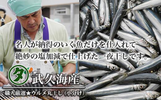 【ふるさと納税】 訳あり 魚の丸干し＆開き おまかせセット2kg 魚 海鮮 干物 ひもの 丸干し 切り身 おつまみ おかず 人気 珍味 グルメ 規格外 国産 武久海産 愛媛 愛南