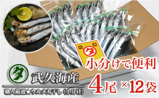 職人厳選 ウルメ丸干し小分け(4尾×12袋)鰯 いわし おつまみ 珍味 グルメ 魚 海鮮 ギフト 酒 ビール 日本酒 焼酎 贈り物 国産 愛媛 愛南町 武久海産