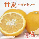【ふるさと納税】 訳あり 甘夏 9kg サイズミックス 7000円 みかん 愛媛 ミカン mikan 蜜柑 わけあり あまなつ 夏みかん だいだい 産地直送 国...