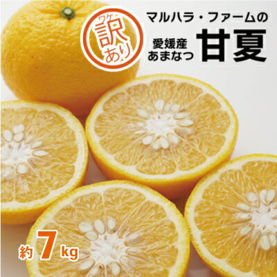 【訳あり】マルハラファーム 甘夏 7kg 発送期間: 3月初旬～5月末 先行予約 訳あり 甘夏 みかん 柑橘 あまなつ グレープフルーツ 果物 おいしい 愛媛 愛南 産地直送 国産 農家直送 数量限定 人気 限定 ジューシー 甘い マーマレード ピール デザート