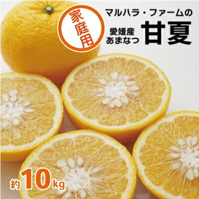 【 家庭用 】 マルハラファーム 甘夏 10kg 発送期間: 3月初旬～5月末 先行予約 みかん 柑橘 あまなつ グレープフルーツ 果物 フルーツ おいしい 愛媛 愛南 産地直送 国産 農家直送 数量限定 人気 限定 甘い マーマレード ピール ギフト プレゼント デザート