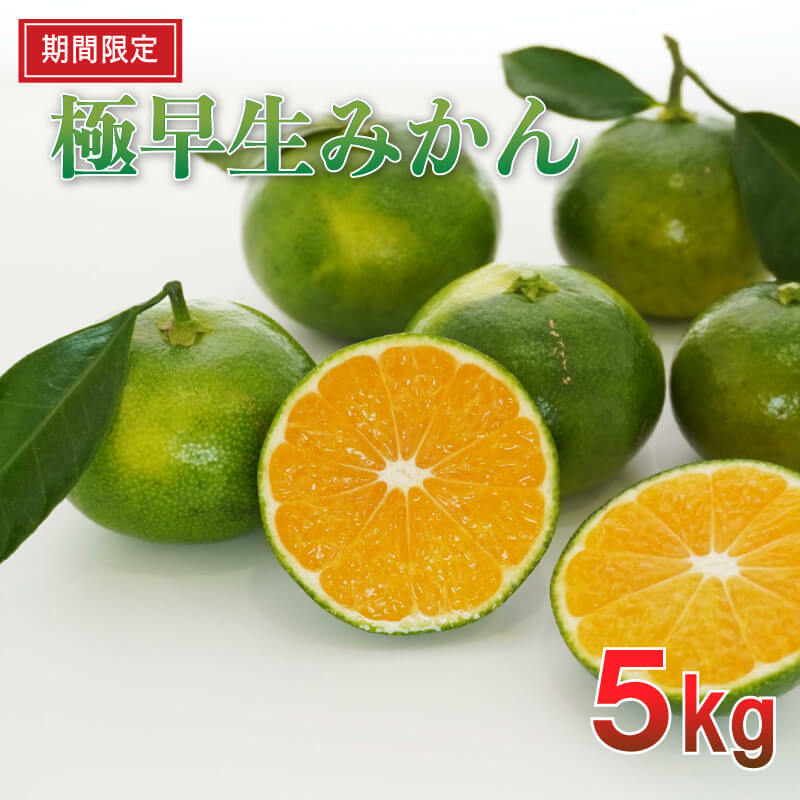 期間限定 マルハラファーム 極早生みかん 5kg 送料無料 ご家庭用 愛媛県産 果物 柑橘 フルーツ 愛南町 特産品 お取り寄せ デザート 愛媛みかん みかん