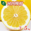 【ふるさと納税】 【高評価★4.86】 選べる容量 訳あり 河内晩柑 3kg 5kg 5000円 7000円 サイズミックス みかん かわちばんかん ミカン m...