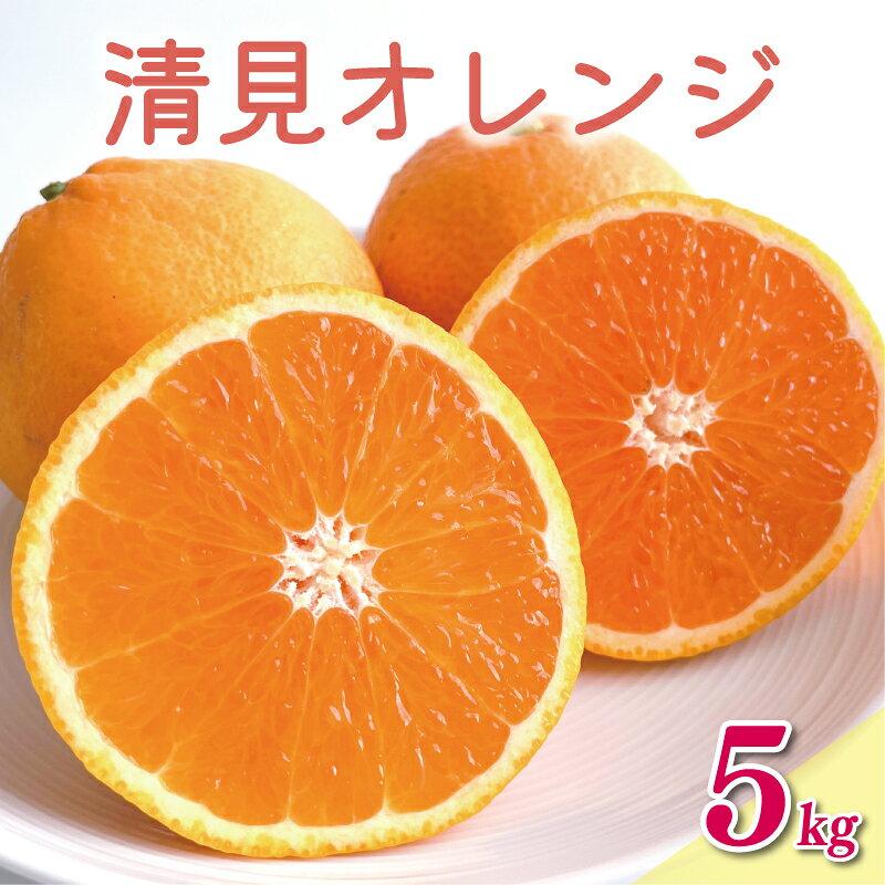 数量限定 先行予約 清見 オレンジ 5kg 7000円 みかん mikan 蜜柑 ミカン きよみ おれんじ 国産 期間限定 特産品 ギフト プレゼント 産地直送 農家直送 人気 限定 甘い フルーツ 果物 柑橘 おいしい 小玉 含む 岡平農園 愛南町 愛媛県