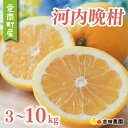 【ふるさと納税】 【高評価★4.7】 選べる容量 河内晩柑 3kg 5kg 10kg 訳あり 贈答用 数量限定 期間限定 わけあり 愛媛 みかん mikan 蜜...