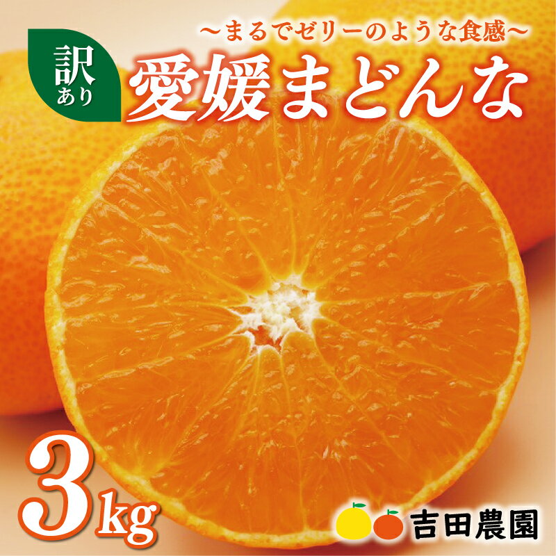【ふるさと納税】 訳あり 愛媛 まどんな 3kg みかん 家庭用 12000円 愛果28号 紅まどんな 同品種 あいか アイカ 高級 人気 ブランド 柑橘 果物 フルーツ 数量限定 期間限定 産地直送 国産 農家直送 わけあり 特産品 mikan 蜜柑 ミカン マドンナ 甘い 吉田農園 愛南町 愛媛県のサムネイル