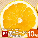 商品情報名称訳あり 愛南ゴールド(河内晩柑)事業者大樹農園産地名愛媛県愛南町産内容量【訳あり】愛南ゴールド(河内晩柑) 約10kg サイズミックス※サイズのご指定はご遠慮ください保存方法冷暗所に保存配送方法常温配送お届け時期4月1日までに入金確認ができた方：4月1日より順次発送 4月1日以降に入金確認ができた方：入金確認日より3週間以内での発送こんな方にオススメおしゃれ おいしい 食べ物 お取り寄せ 人気 食品 おすすめ 希少 珍しい 父の日 母の日 ありがとう 感謝呼び名もいろいろ宇和ゴールド 御荘ゴールド 美生柑 愛南ゴールド ジューシーオレンジ 灘オレンジ 天草晩柑 夏文旦 河内晩柑備考【河内晩柑の特徴】 河内晩柑は、木成りの状態で熟していくと、夏頃には表皮が黄緑色に変化する回青（かいせい）という現象が生じます。 ※一度黄色く色づいたあとに、外皮に含まれる葉緑素（クロロフィル）の発現が強まり緑色っぽく変化する自然現象。 この場合でも中身は美味しく召し上がれますので、見た目に気になる点が見受けられる場合であっても、果実の中の状態までご確認くださいますようお願い申し上げます。※画像はイメージです。※天候等の事情によりお届け日が変更になる場合があります。 ・ふるさと納税よくある質問はこちら ・寄附申込みのキャンセル、返礼品の変更・返品はできません。あらかじめご了承ください。【ふるさと納税】 訳あり 愛南ゴールド 約10kg 柑橘 フルーツ みかん 河内晩柑 夏 文旦 かわちばんかん わけあり 傷 きず 規格外 不揃い 大樹農園 愛媛県 愛南町 発送期間：4月1日～ (なくなり次第終了) 【愛媛県愛南町】爽やかでジューシーな味わいの夏の柑橘をお楽しみください 夏にぴったりのさっぱりとした柑橘、愛南ゴールドを、ぜひお試しください！ 愛南ゴールド(河内晩柑)の生育に愛南町の温暖な気候が適しており、爽やかでジューシーな味わいとなっております。冷やして食べたり、ジュースに絞っても美味しくお召し上がりいただけます。訳あり品としてのご用意となりますのでシミや傷があるものが混じりますが、味には問題ございません。夏にぴったりのさっぱりとした柑橘、愛南ゴールドを、ぜひお試しください！※画像はイメージです。※大きさにより数が異なります。※生鮮品につき、到着後すぐにお召し上がりください。提供元: 大樹農園 有機肥料をふんだんに使用！ 除草剤一切不使用！ 竹チップによる土壌改良！ 発送期間：4月1日までに入金確認ができた方：4月1日より順次発送 4月1日以降に入金確認ができた方：入金確認日より3週間以内での発送 1