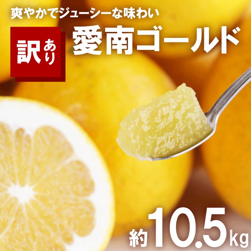 【ふるさと納税】 訳あり 愛南ゴールド 約10.5kg 柑橘