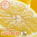 17位! 口コミ数「2件」評価「4.5」 先行予約 訳あり 河内晩柑 7kg 晩柑 柑橘 和製 グレープフルーツ 国産 愛媛 みかん 果物 果実 フルーツ 特産品 フルーツ アイラ･･･ 