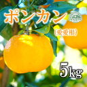 【ふるさと納税】 先行予約 ポンカン 約5kg 愛愛柑 12000円 ぽんかん みかん 蜜柑 果物 くだもの 果実 柑橘 ミカン mikan フルーツ ゼリー ジュース 甘い ジューシー デザート ブランド 特産品 国産 産直 産地直送 ビタミン 美容 健康 糖度 愛媛県 愛南町