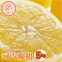 【ふるさと納税】訳あり 河内晩柑 約5kg 晩柑 柑橘 和製 グレープフルーツ 国産 愛媛 みかん 果物 果実 フルーツ 特産品 フルーツ アイランド マルエム...