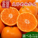 【ふるさと納税】 高評価 ★ 4.2 先行受付 愛媛みかん 選べる内容量 発送2025年11月以降 ふるさと納税 柑橘 みかん 果物 フルーツ 旬 ふるさと納税...