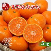 【ふるさと納税】 訳あり 家庭用 愛媛みかん 5kg 柑橘 果物 国産 フルーツ 有名 みかん 清家ばんかんビレッジ 蜜柑 ブランド 大きさ 不揃い 傷 大小ミックス 温州 愛媛県 愛南町 果実 ビタミン 美味しい 発送期間：11月上旬~1月下旬