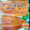 【ふるさと納税】 鰻 四万十うなぎ 230g 愛南ゴールド入