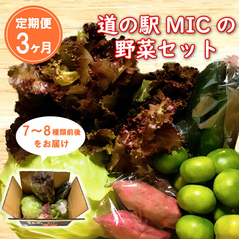 6位! 口コミ数「0件」評価「0」 定期便 3回 旬の野菜セット 7～8種類前後 野菜 サラダ 新鮮 葉物 根菜 香味 定番野菜 愛媛 愛南