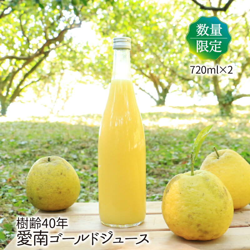 楽天愛媛県愛南町【ふるさと納税】 樹齢40年 愛南ゴールドジュース 720ml × 2本 河内晩柑 愛南ゴールド 焼酎 蒸留酒 果汁 無添加 ジュース 贈答 ギフト プレゼント 河内晩柑 ばんかん 柑橘 かんきつ 果汁 100％ 愛媛 みかん 蜜柑 ゼリー 寒天 お歳暮 お中元 国産 愛南町 青果市場