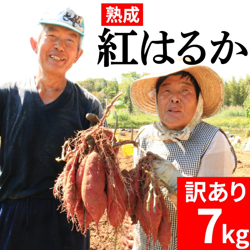 【ふるさと納税】 訳あり 熟成 紅はるか 7kg 2S～3Lサイズ さつまいも いも 焼き芋 やきいも スイートポテト おやつ デザート スイーツ 低温熟成 完全熟成収穫 高糖度 料理 国産 愛媛県 愛南町 青果市場