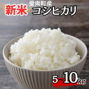 【ふるさと納税】 新米 令和7年産 コシヒカリ 5kg/10kg 米 お米 愛南町産 白米 精米 こしひかり 人気 産地直送 国産 農家直送 期間限定 数量限定...