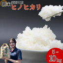 【ふるさと納税】 新米 令和7年産 ヒノヒカリ 5kg/10kg 米 お米 愛南町産 白米 精米 ひのひかり 人気 産地直送 国産 農家直送 期間限定 数量限定...