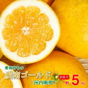 11位! 口コミ数「64件」評価「4.56」 訳あり 愛南ゴールド ( 河内晩柑 ) 5kg みかん 蜜柑 河内晩柑 和製 グレープフルーツ 傷 不揃い 規格外 常温 愛媛県 愛南町青果市場 発送: 4月〜なくなり次第終了