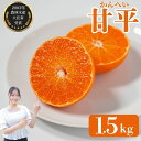 【ふるさと納税】先行予約受付 数量限定 訳あり 甘平 1.5kg 約7玉 みかん 蜜柑 柑橘 果物 フルーツ 高級 人気 糖度 ビタミン 健康 ブランド 国産 減農薬 除草剤不使用 有機肥料使用 愛媛県 愛南町 吉本農園 発送:2026年2月中旬~なくなり次第終了