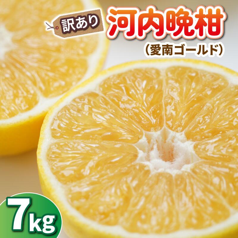 先行予約 訳あり 河内晩柑 7kg ひなたのみかん みかん 蜜柑 柑橘 愛南ゴールド オレンジ グレープフルーツ 果物 果実 果汁 ジュース フルーツ 国産 愛媛 愛南 発送期間:4月20日～5月31日 (なくなり次第終了)