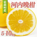 【ふるさと納税】 数量限定 先行予約 選べる 内容量 河内晩柑 5kg 7kg 8kg 10kg 訳あり 贈答用 大玉 4L 以上 期間限定 わけあり 愛媛 み...