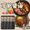 6位! 口コミ数「2件」評価「5」 刺身 醤油 4本 調味料 肉 魚 ステーキ すき焼き 米 卵かけご飯 に合う 万能しょうゆ 愛媛 愛南