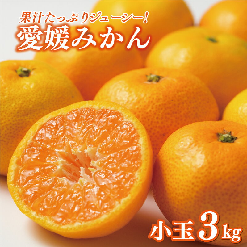 訳あり 愛媛みかん 小玉 3kg 8000円 冬季限定 愛媛県 愛南町 和家農園