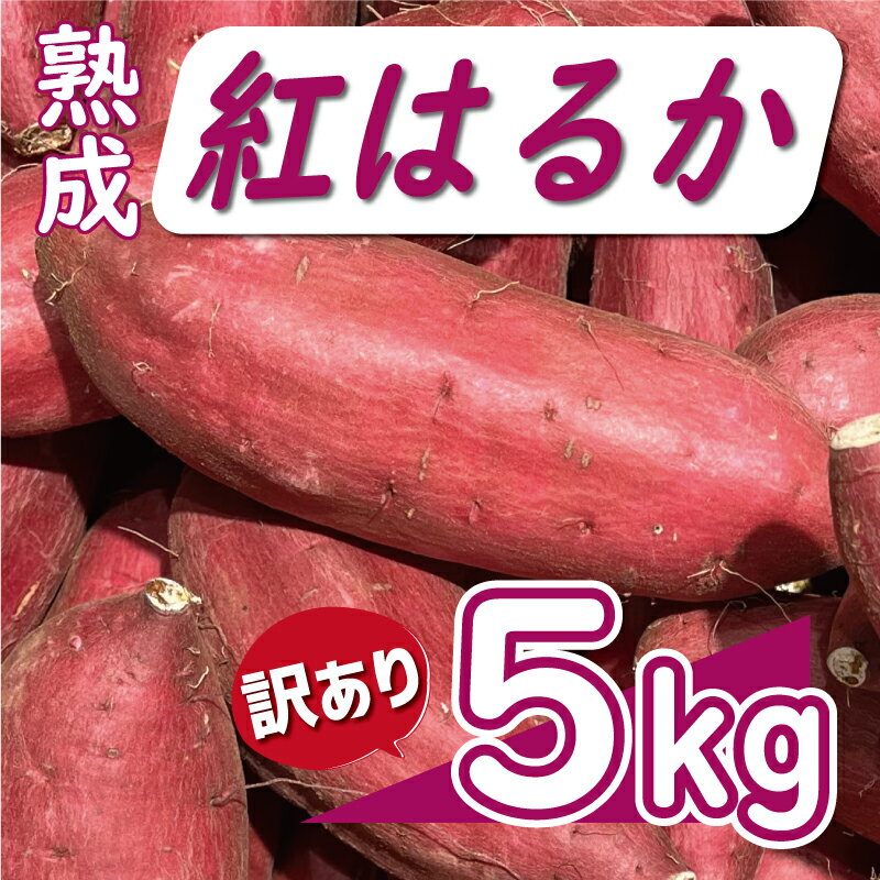 【 ふるさと納税 】訳あり 熟成 紅はるか 5kg サイズ混合 さつまいも 焼き芋 干し芋 丸干し 冷凍焼き芋 冷やし焼き芋 やきいも 蜜芋 ほしいも スイートポテト フライドポテト いも天 サイズミックス 甘い ねっとり 甘藷 べにはるか スイーツ おかず 国産 愛媛県 愛南町