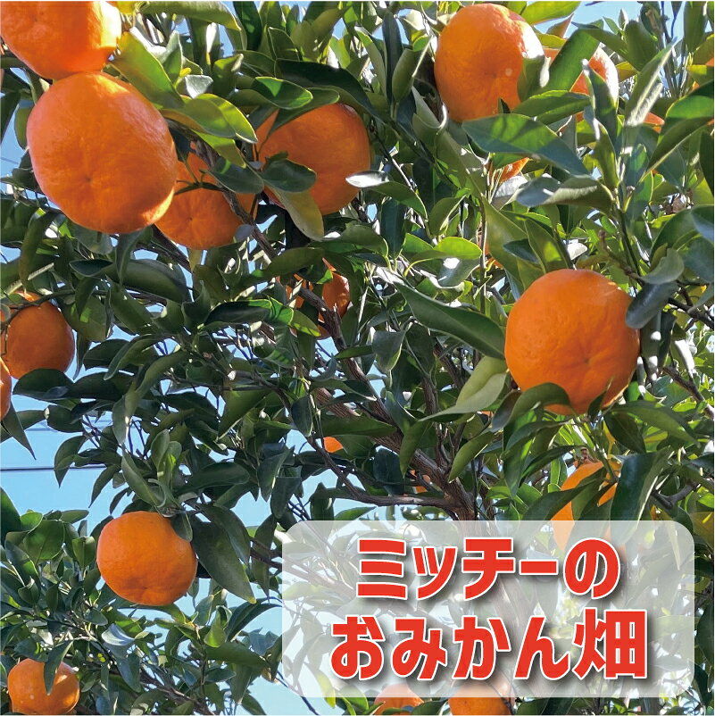 愛媛県愛南町の画像2