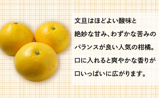 【ふるさと納税】 先行予約 訳あり 文旦 7kg みかん 蜜柑 果物 柑橘 フルーツ 傷 シミ サイズミックス ジュース ゼリー ビタミン 美容 健康 山口農園 送料無料 発送期間: 2月下旬～4月末