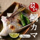 【ふるさと納税】 訳あり 数量限定（ 限定 100セット ） ゆら鯛 の カマ 3パック セット（ 500g × 3パック ）合計 1.5 kg 真鯛 数量限定 限定 神経締 鯛カマ 鯛 たい 愛媛 国産 愛南 年末 産地直送 冷凍 海鮮 魚介 ブランド イチボ 正月 縁起 めでたい ヒレ 年始 宝水産