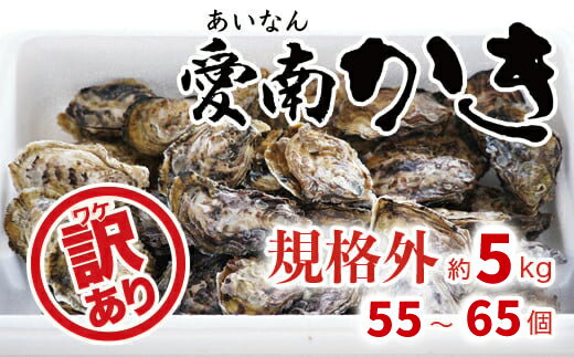 【ふるさと納税】 【 訳あり 】 規格外 殻付き 愛南かき 5kg （55～65個） 発送期間：～3月末（12月22日から1月9日は発送不可） 牡蠣 むき身 オイル漬 塩辛 殻付 かき カキ 16000円 オイスター 鍋 カキフライ 産地直送 期間限定 数量限定 海鮮 魚介 年末 年始 限定 愛南 愛媛