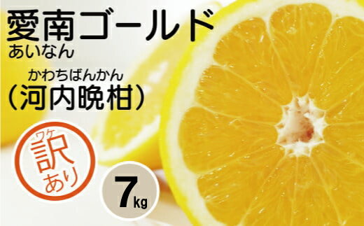 【 ふるさと納税 】 訳あり 吉田さんちの 愛南ゴールド 7kg みかん かわちばんかん 河内晩柑 あいなん ゴールド 美生柑 文旦 グレープフルーツ 和製 産地直送 国産 農家直送 期間限定 数量限定 ゼリー ジュース 人気 限定 甘い フルーツ 果物 柑橘 蜜柑 規格外 愛媛県 愛南町