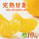 【ふるさと納税】 【高評価★4.7】 訳あり 完熟 甘夏 10kg 7000円 樹齢25年 以上 みかん 愛媛 ミカン mikan 蜜柑 わけあり あまなつ 夏...