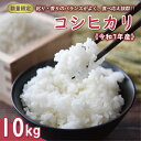 【ふるさと納税】 先行予約 新米 令和7年産 コシヒカリ 10kg 24000円 お米 白米 精米 米 こめ 期間限定 数量限定 特産品 令和7年度産 2025...