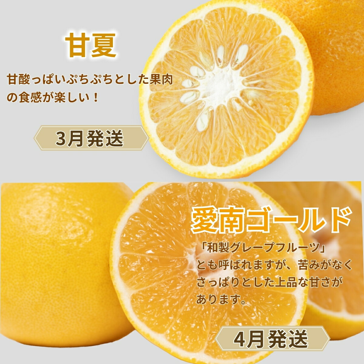 �ڤդ뤵��Ǽ�ǡ� ����� 4�� ������ ����δ���4�� ��5kg ��� 20kg �ݥ󥫥� ���β� �Ų� �����մ� ���� �ߤ��� ��ʪ �ե롼�� ���꡼ ������ ���塼�� ����� �ե롼������� ���� ���졼�ץե롼�� ��ʸö �ݤ󤫤� �ܤβ�ʪ �ܤΥե롼�� ����Į ��ɲ�� ����ե롼��