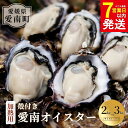 【ふるさと納税】 選べる内容量 愛南 オイスター 2kg 3kg 2025年7月 上旬以降発送 牡蠣 加熱用 殻付き 三倍体 真牡蠣 ブランド 特産品 お取り寄せ グルメ 大粒 新鮮 ご褒美 かき パスタ アヒージョ まがき 夏 産地 直送 愛南漁業協同組合 御荘支所 愛媛県 愛南町