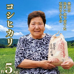 【ふるさと納税】 令和7年産 奥山の冷たい水で育てた 石川さんの コシヒカリ 5kg 17000円 新米 お米 米 こめ 産地直送 国産 農家直送 期間限定 数量限定 特産品 2025年産 令和7年度産 2025年度産 人気 おすすめ プレゼント 土産 お礼 お取り寄せ 愛南町 愛媛県 石川健一