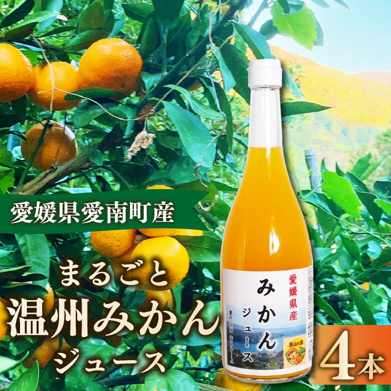 みかんジュース 720ml×4本 みかん ジュース おれんじ オレンジジュース 柑橘 ビタミン 温州 温州みかん 温州 果汁100% 瓶ジュース 産地直送 農家直送 ギフト プレゼント 贈答用 特産品 愛媛県 愛南町 石川健一
