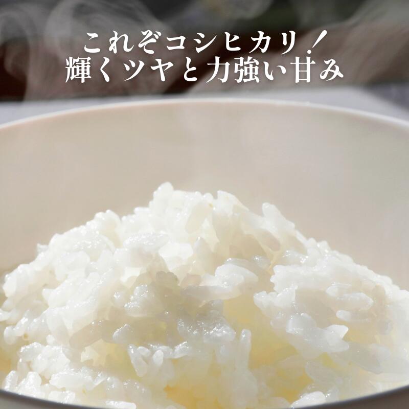 【ふるさと納税】 令和7年産 奥山の冷たい水で育てた 石川さんの コシヒカリ 5kg 1...