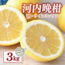 【ふるさと納税】 お試し用 訳あり 河内晩柑 3kg サイズミックス 5000円 みかん かわちばんかん ミカン mikan わけあり 愛南ゴールド あいなん ...